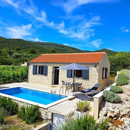 Stone House In Vineyard Villa Račišće Екстериор снимка